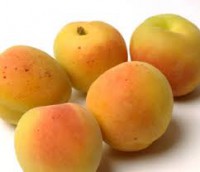 ALBERCOCS