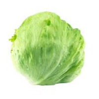 ENCIAM ICEBERG
