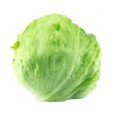 ENCIAM ICEBERG